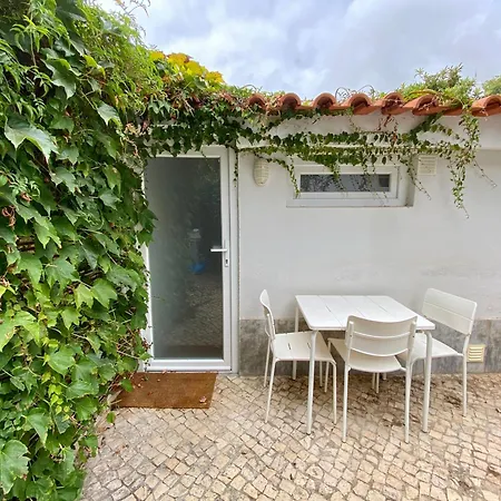 Casa Do Museu, Three Independent *